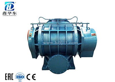 HDRE-200W型濕式羅茨真空泵